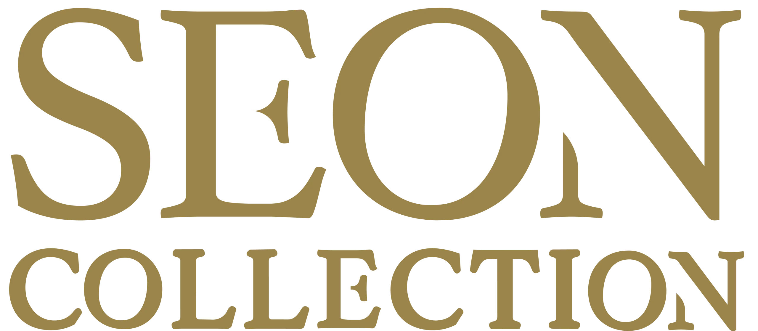 Seon Logo