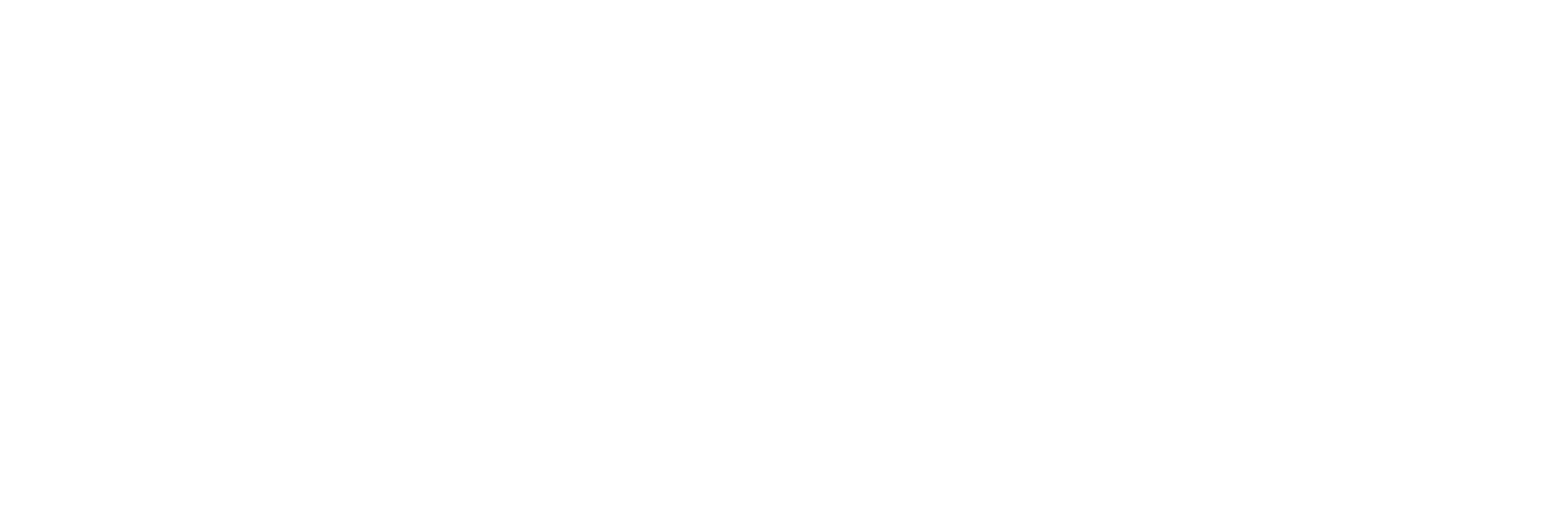 Seon Logo